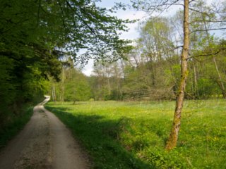 Weg vom Kloster Lorch zur Brucker Sägmühle Wanderung vom Kloster Lorch über die Brucker Sägmühle und durch die Schelmenklinge zurück zum Kloster Lorch.