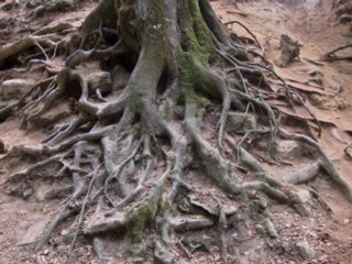 20110502_schelmenklinge_045