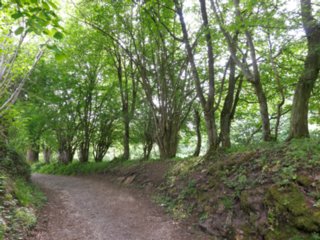 20110502_schelmenklinge_053