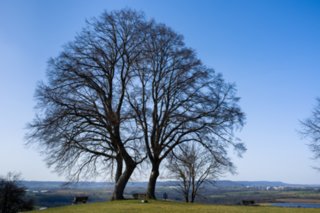 20120327_schenkenbecherrunde_061