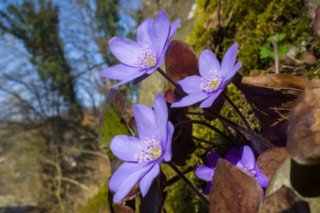20120327_schenkenbecherrunde_070