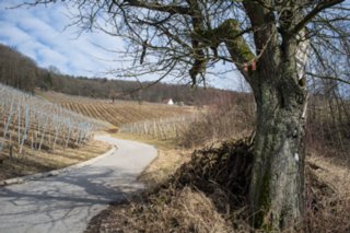 20120221_untersteinbach_003