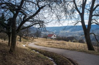 20120221_untersteinbach_012