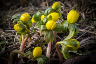 20120221_untersteinbach_014