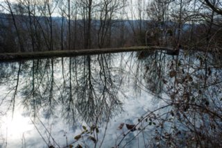 20120221_untersteinbach_018