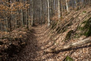 20120221_untersteinbach_024