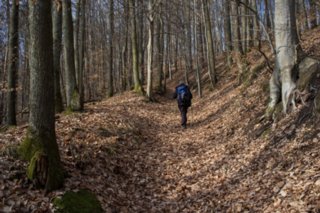 20120221_untersteinbach_026