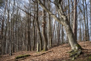 20120221_untersteinbach_027