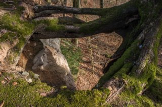 20120221_untersteinbach_036