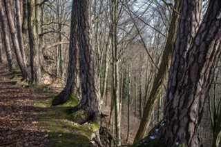 20120221_untersteinbach_042