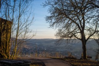 20120221_untersteinbach_073