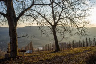 20120221_untersteinbach_075