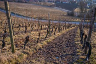20120221_untersteinbach_079