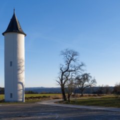 Kornberg_2011-02-07