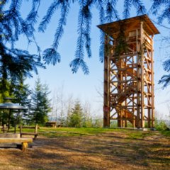 Riesbergturm_2011-04-18