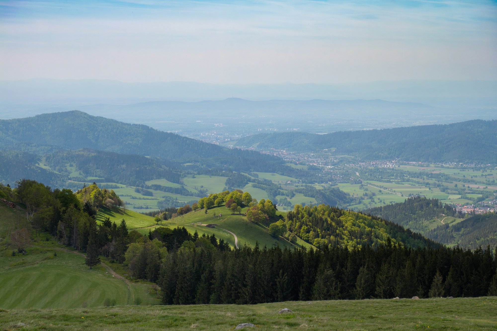 Blick vom Hinterwaldkopf Richtung Freiburg 