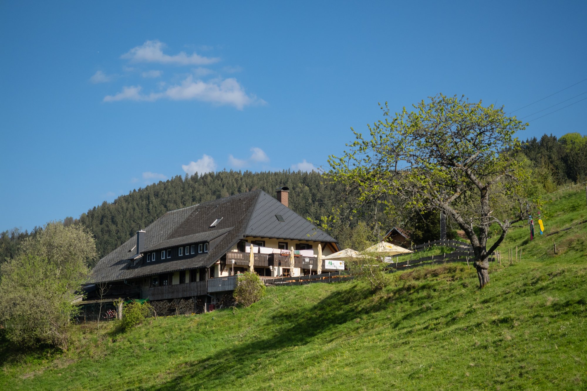 Höfener Hütte 