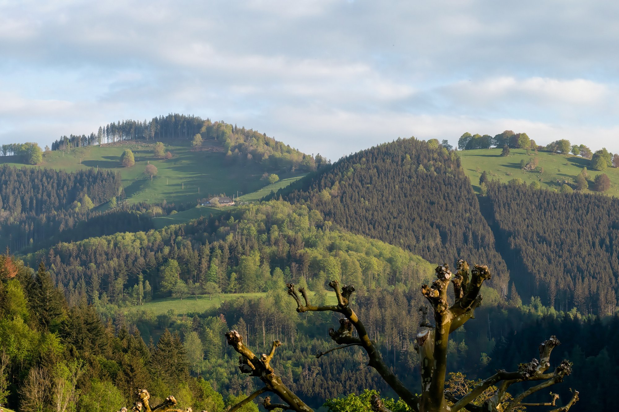 Ausschnitt mit der Höfener Hütte 