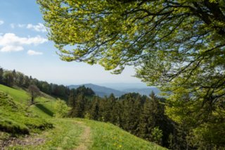 20240510_hinterzarten-himmelreich_077