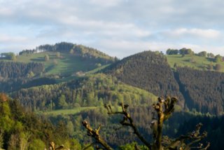 20240510_hinterzarten-himmelreich_211_edit_edit