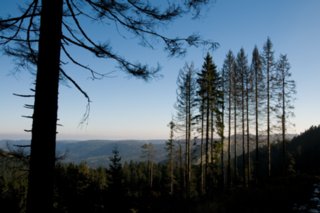 20081024_009