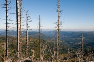 20081024_010
