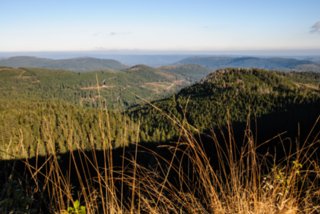 20081024_036