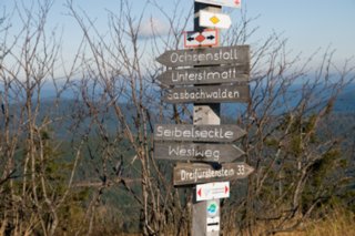 20081024_039