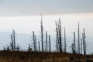 20081024_046