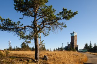 20081024_050