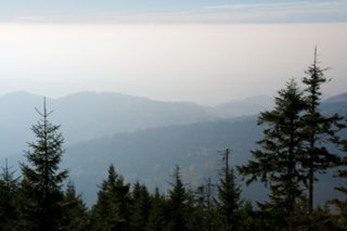 20081024_056