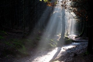 20081024_063
