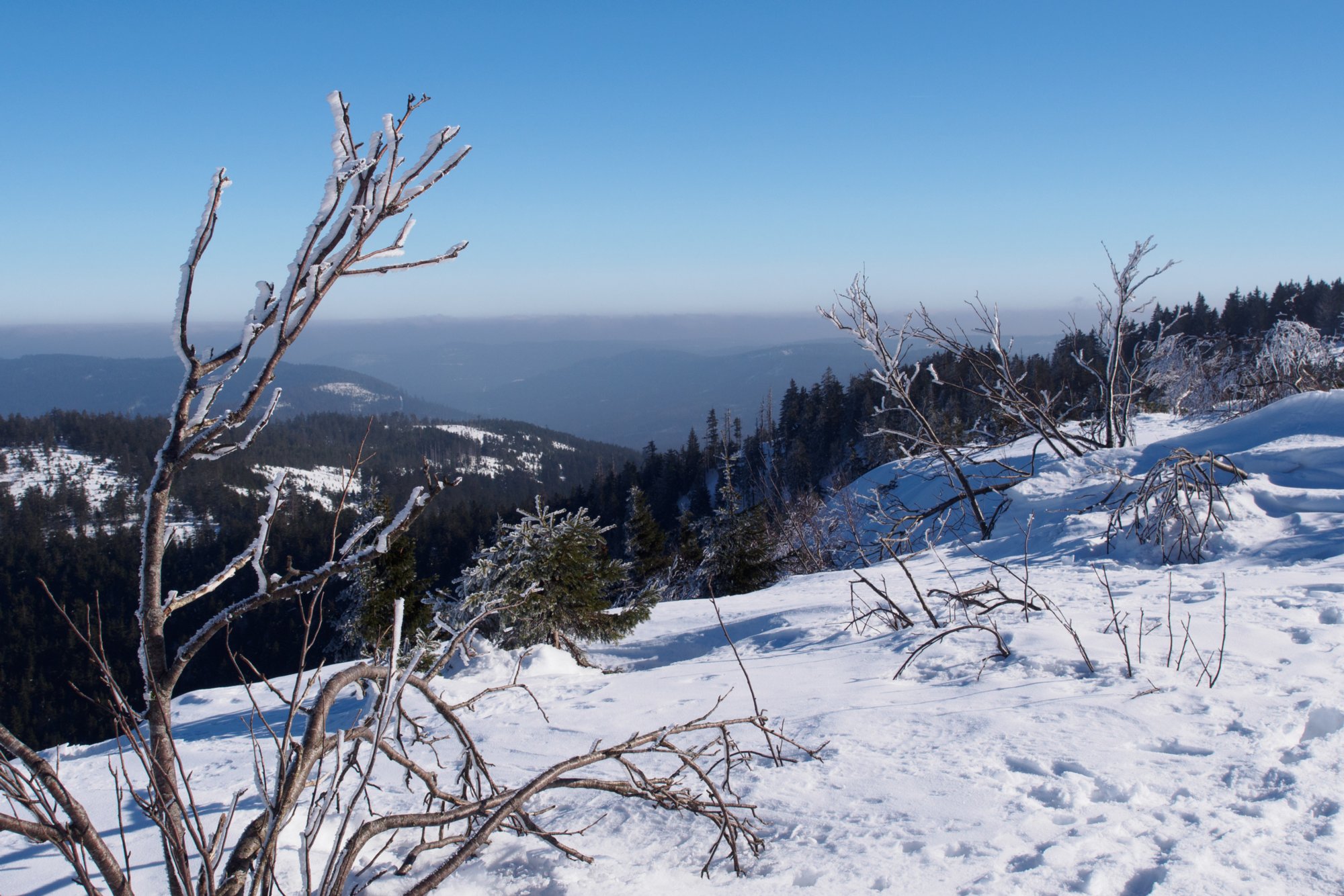 Hornisgrinde Wanderung vom Mummelsee über die Zufahrtsstraße zur Hornisgrinde. Besteigung des Turmes. Rundweg auf der Hornisgrinde. Abspieg über den Wanderweg zum Mummelsee.