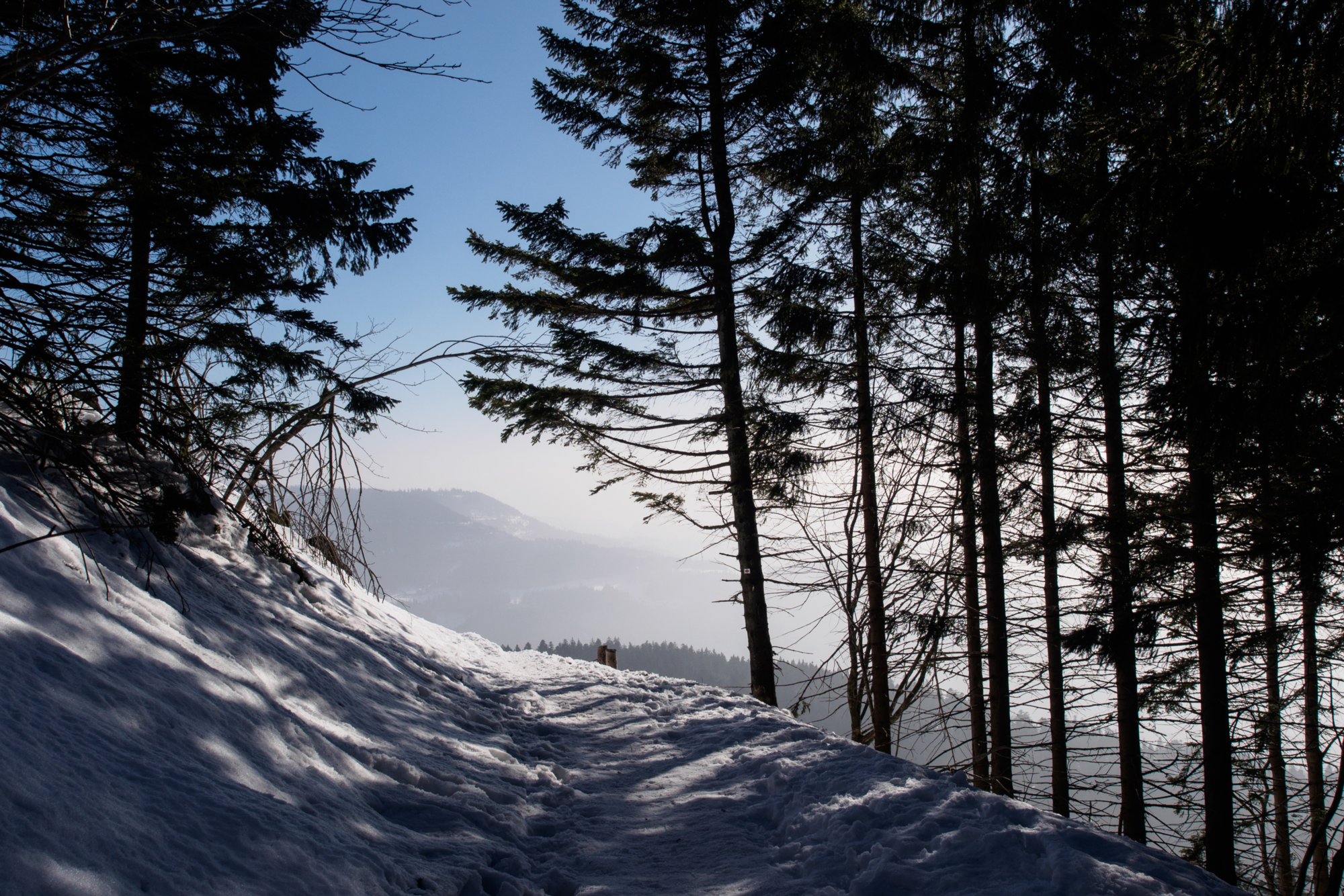 Wanderweg von der Hornisgrinde zum Mummelsee Wanderung vom Mummelsee über die Zufahrtsstraße zur Hornisgrinde. Besteigung des Turmes. Rundweg auf der Hornisgrinde. Abspieg über den Wanderweg zum Mummelsee.