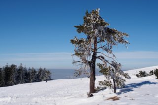 20150218_mummelsee-hornisgrinde_032