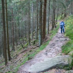 Lotharlehrpfad_2008-10-26