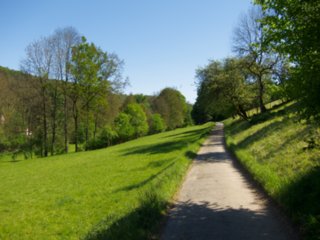 20110509_creglingen_017