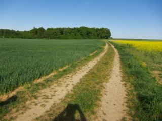 20110509_creglingen_036