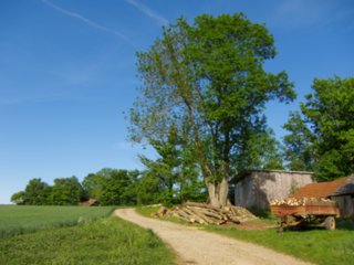 20110509_creglingen_042