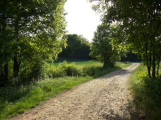 20110509_creglingen_043