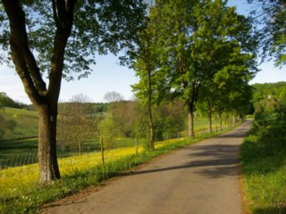 20110509_creglingen_074-bearb
