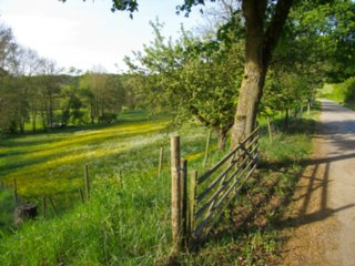 20110509_creglingen_076