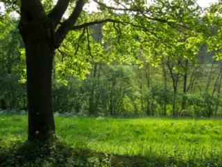 20110509_creglingen_086