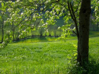 20110509_creglingen_090