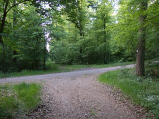 20110509_creglingen_098
