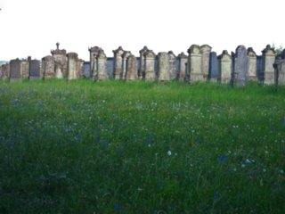 20110509_creglingen_102
