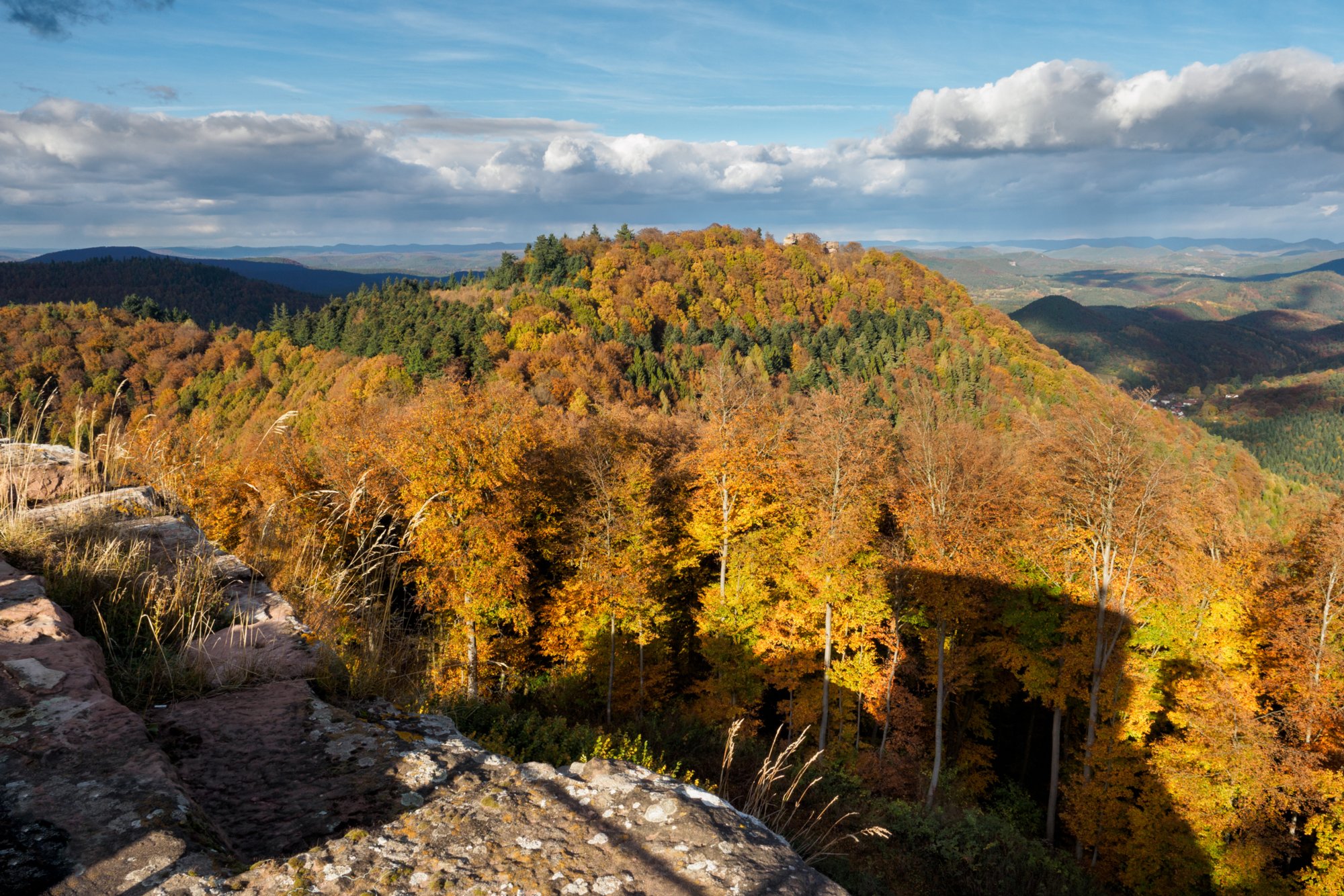 Blick von der Hohenbourg zur Wegelnburg Herbstwanderung vom Gimbelhof (Elsass) über den Löwenfelsen und Kastell Hohenbourg zur Ruine Wegelnburg. Von dort runter zur Burg Fleckenstein und wieder zurück zum Gimbelhof.