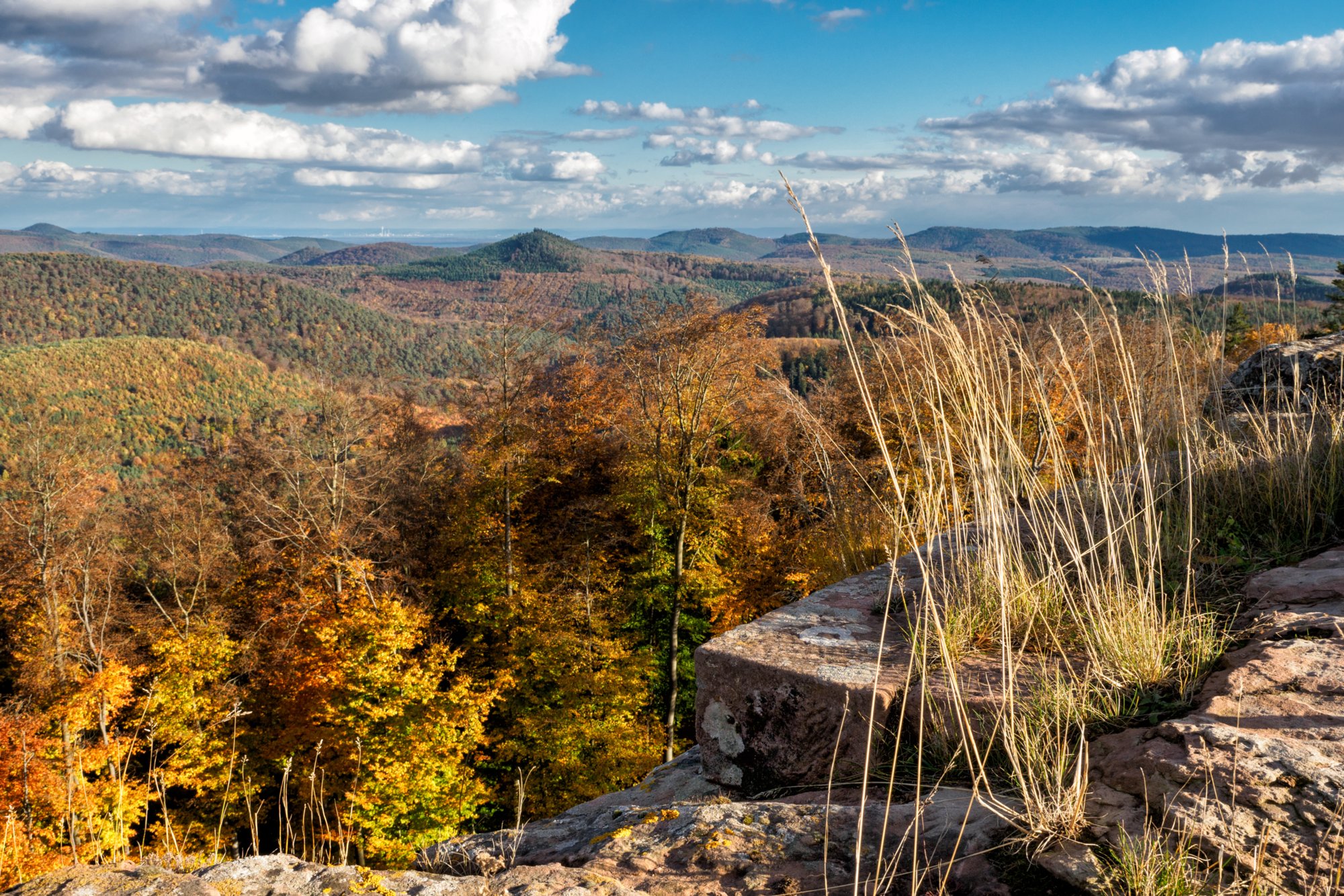Hohenbourg Herbstwanderung vom Gimbelhof (Elsass) über den Löwenfelsen und Kastell Hohenbourg zur Ruine Wegelnburg. Von dort runter zur Burg Fleckenstein und wieder zurück zum Gimbelhof.