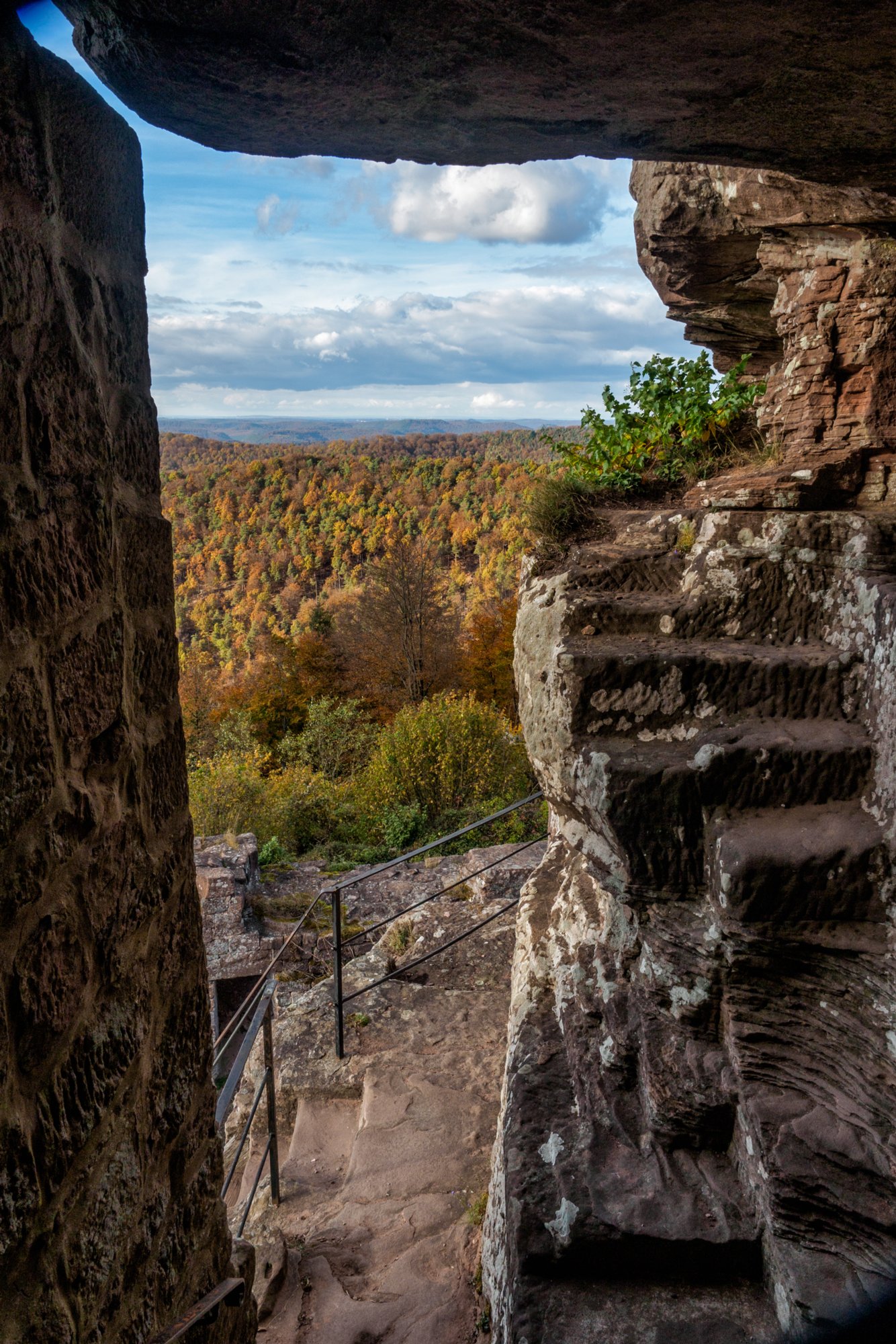Hohenbourg Herbstwanderung vom Gimbelhof (Elsass) über den Löwenfelsen und Kastell Hohenbourg zur Ruine Wegelnburg. Von dort runter zur Burg Fleckenstein und wieder zurück zum Gimbelhof.