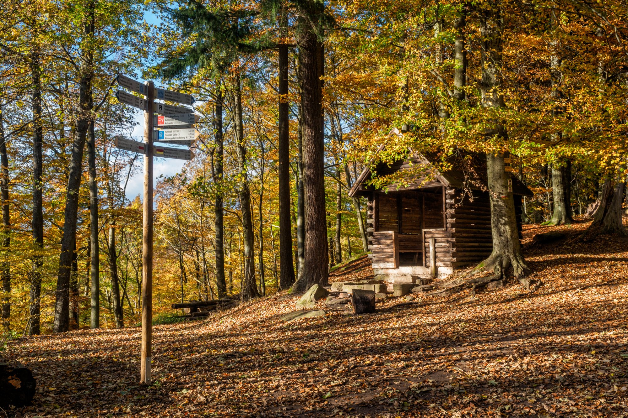 Weg von der Hohenbourg zur Wegelnburg Herbstwanderung vom Gimbelhof (Elsass) über den Löwenfelsen und Kastell Hohenbourg zur Ruine Wegelnburg. Von dort runter zur Burg Fleckenstein und wieder zurück zum Gimbelhof.